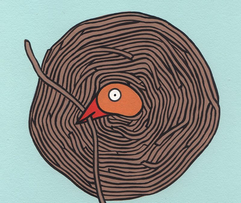 Animali